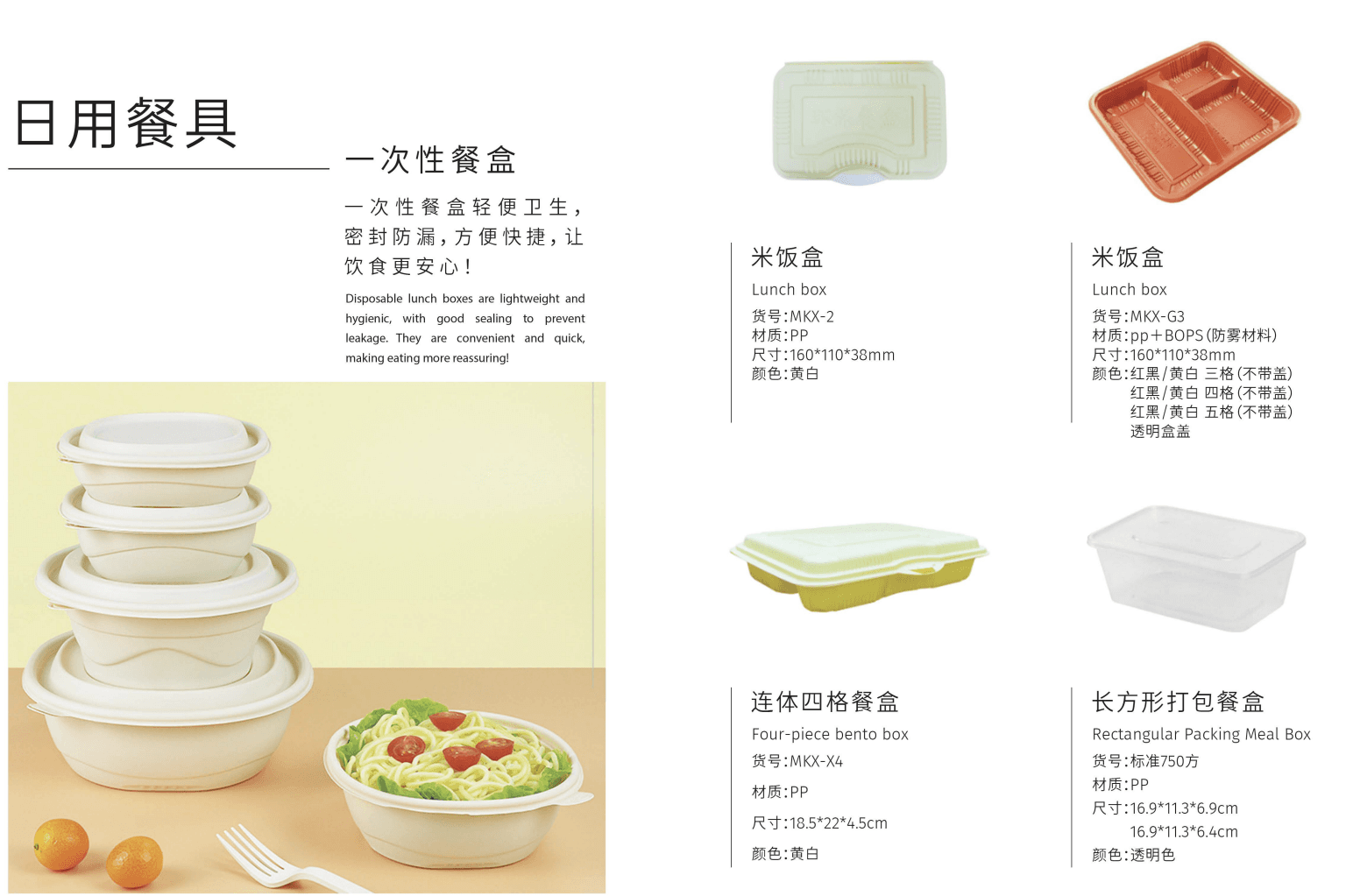 Disposable Lunch Box Collection